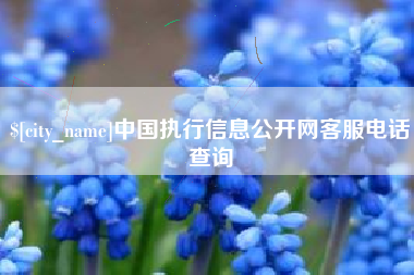 抚顺中国执行信息公开网客服电话查询