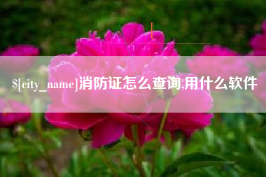 抚顺消防证怎么查询,用什么软件