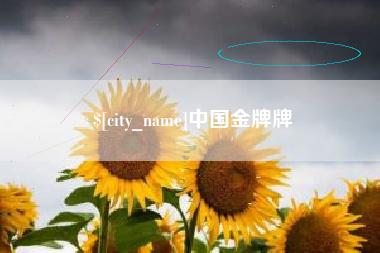 抚顺中国金牌牌