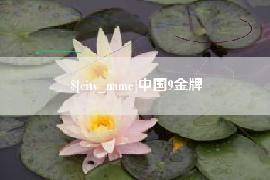 抚顺中国9金牌