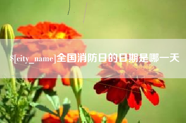 抚顺全国消防日的日期是哪一天