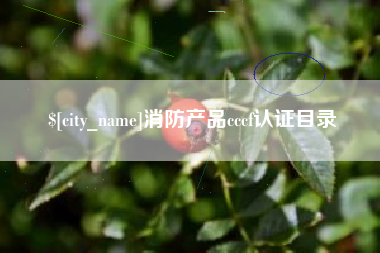抚顺消防产品cccf认证目录