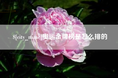 抚顺奥运金牌榜是怎么排的