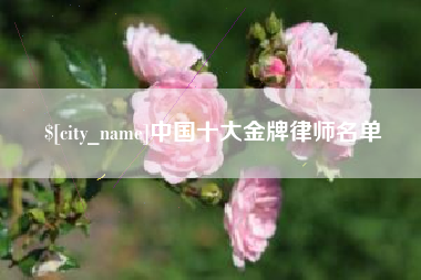 抚顺中国十大金牌律师名单