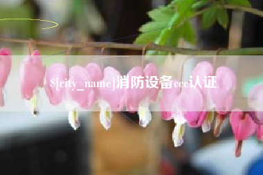 抚顺消防设备ccc认证