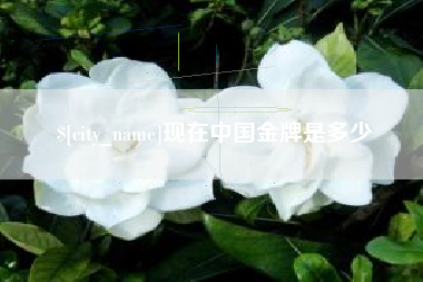 抚顺现在中国金牌是多少