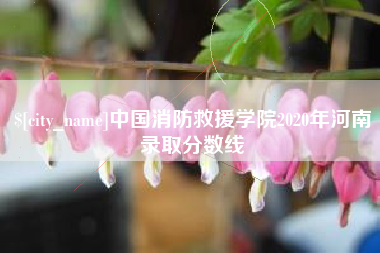 抚顺中国消防救援学院2020年河南录取分数线