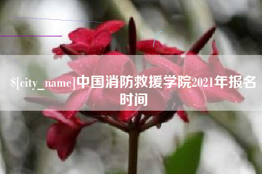 抚顺中国消防救援学院2021年报名时间