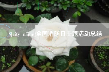 抚顺全国消防日主题活动总结