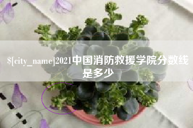 抚顺2021中国消防救援学院分数线是多少