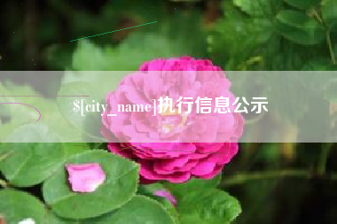 抚顺执行信息公示