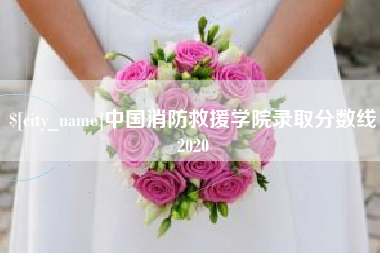 抚顺中国消防救援学院录取分数线2020