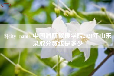 抚顺中国消防救援学院2021年山东录取分数线是多少