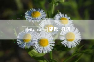 抚顺成都 消防