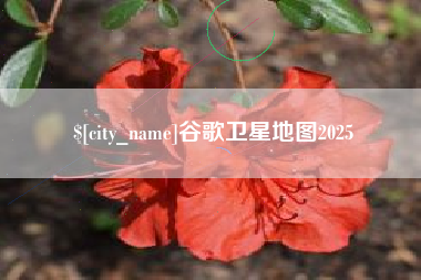 抚顺谷歌卫星地图2025