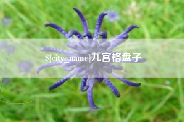 抚顺九宫格盘子