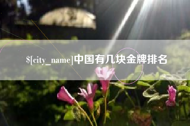 抚顺中国有几块金牌排名