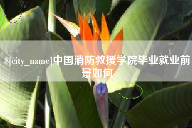 抚顺中国消防救援学院毕业就业前景如何