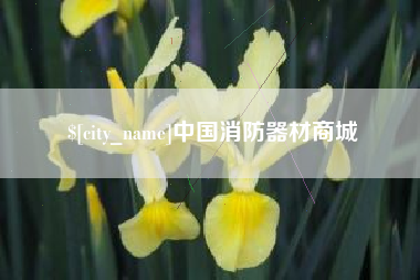 抚顺中国消防器材商城