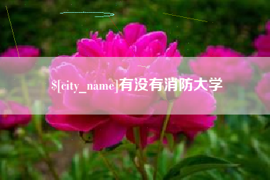 抚顺有没有消防大学