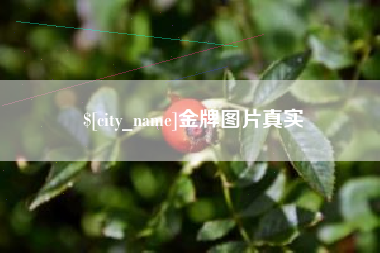 抚顺金牌图片真实