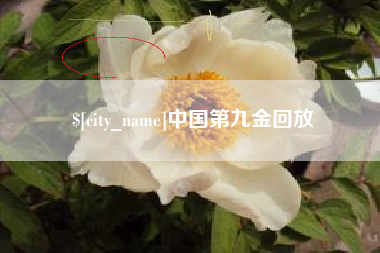 抚顺中国第九金回放