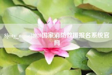 抚顺2020国家消防救援报名系统官网