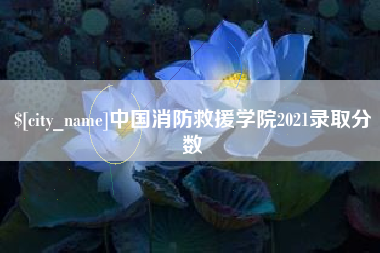 抚顺中国消防救援学院2021录取分数