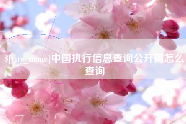 抚顺中国执行信息查询公开网怎么查询