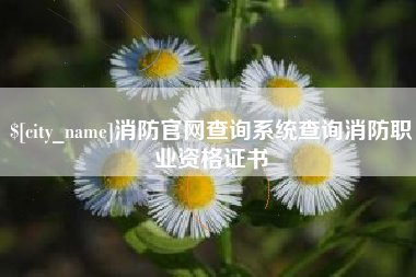 抚顺消防官网查询系统查询消防职业资格证书