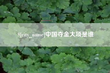 抚顺中国夺金大项是谁