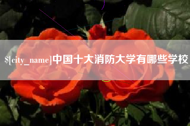 抚顺中国十大消防大学有哪些学校