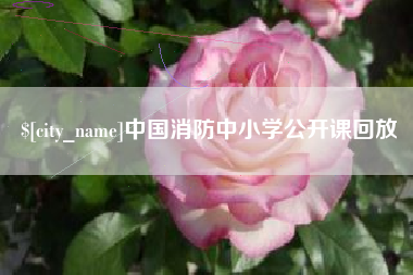 抚顺中国消防中小学公开课回放