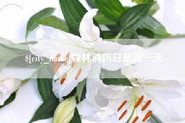 抚顺森林消防日是哪一天