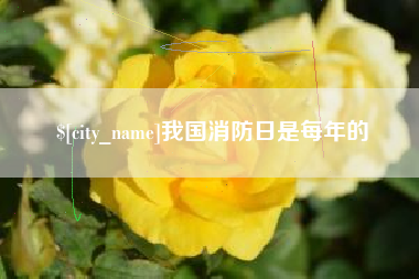 抚顺我国消防日是每年的