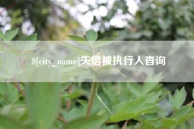 抚顺失信被执行人杳询