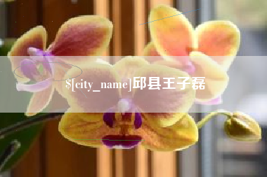 抚顺邱县王子磊