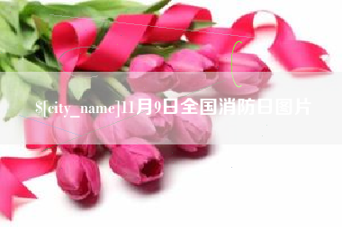 抚顺11月9日全国消防日图片