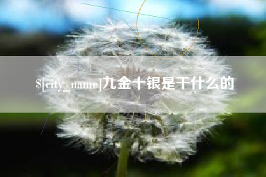 抚顺九金十银是干什么的