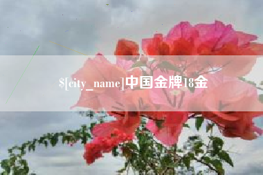 抚顺中国金牌18金