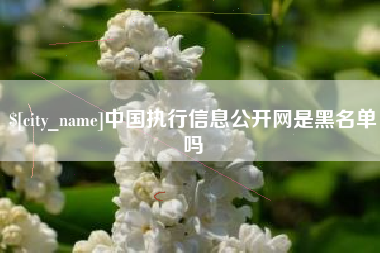抚顺中国执行信息公开网是黑名单吗
