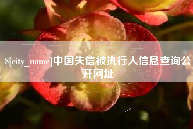 抚顺中国失信被执行人信息查询公开网址