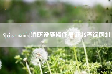 抚顺消防设施操作员证书查询网址