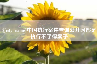 抚顺中国执行案件查询公开网都是执行不了得案子