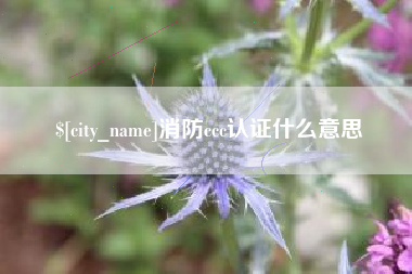 抚顺消防ccc认证什么意思