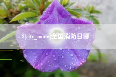 抚顺全国消防日哪一