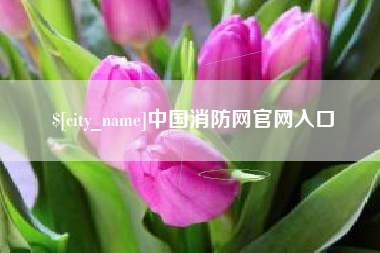 抚顺中国消防网官网入口