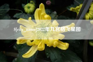 抚顺2022年九宫格飞星图