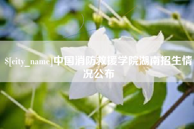 抚顺中国消防救援学院湖南招生情况公布