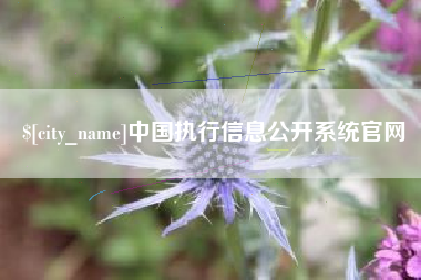 抚顺中国执行信息公开系统官网